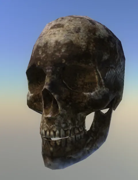 p_humanskull01x