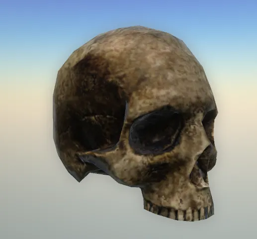 p_humanskull02x