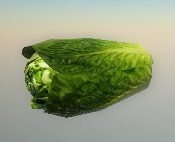 p_lettuce01x