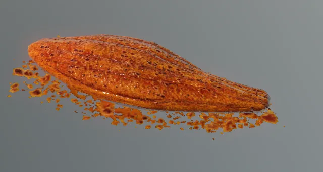 p_main_friedcatfish02x