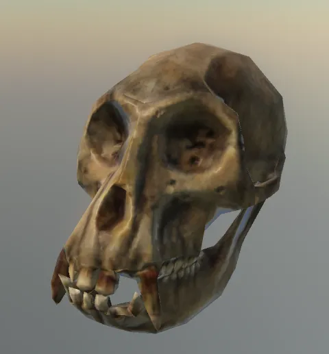p_monkeyskull66x