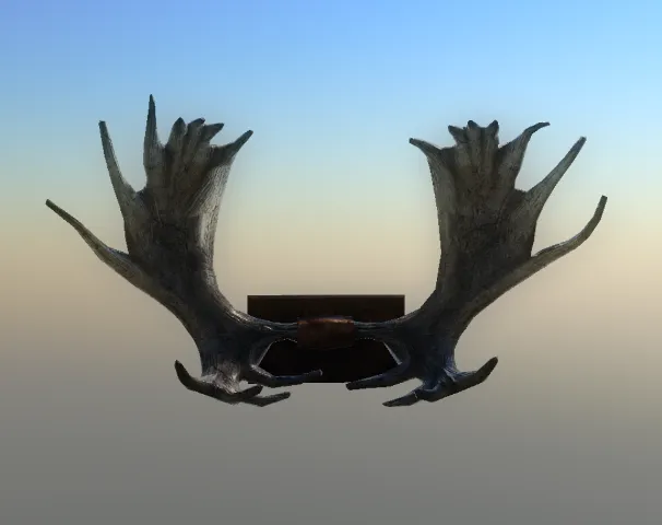 p_mooseantler01x