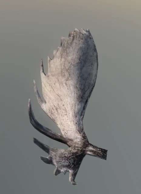 p_mooseantler_albino