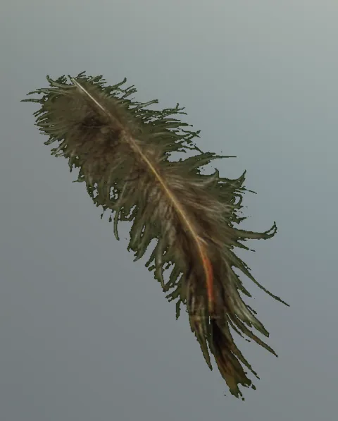p_nestfeather06x