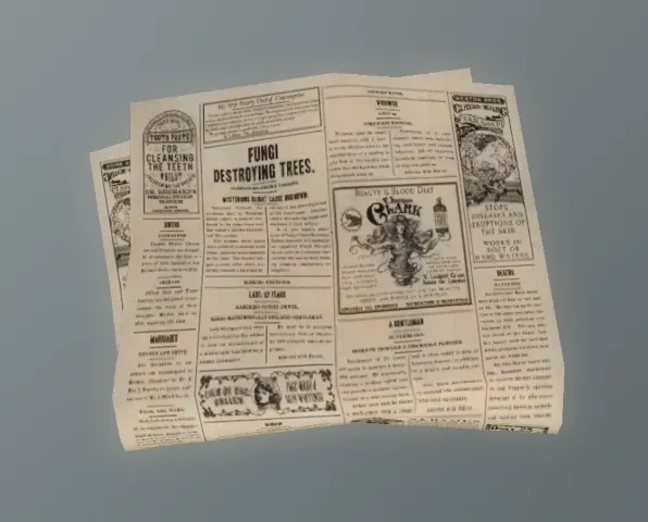p_newspaper01x001