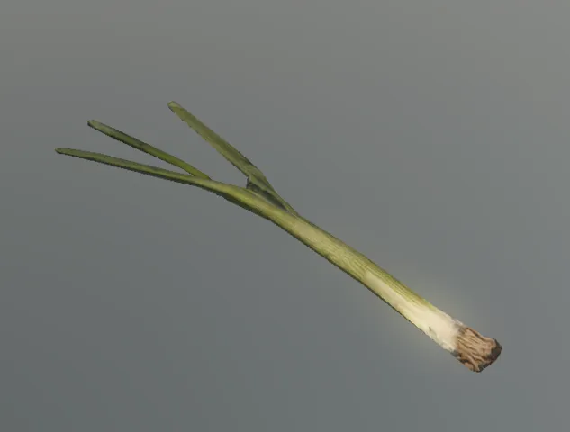 p_oniongreen02x