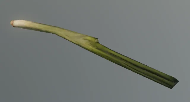 p_oniongreen03x