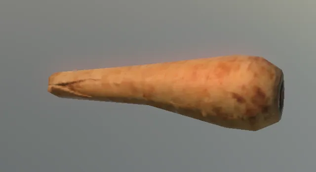 p_parsnip_02x