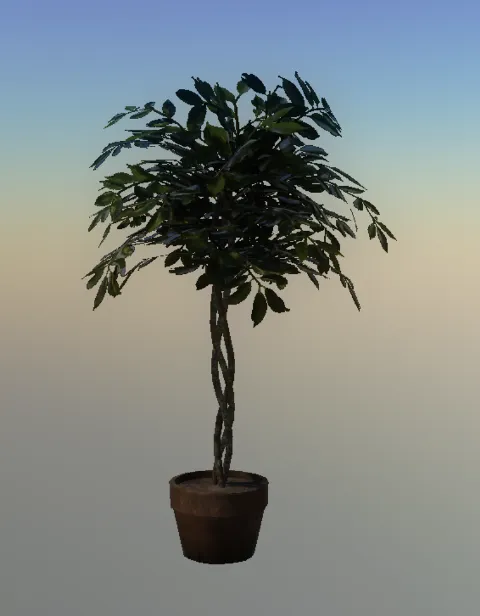 p_plant_moneytree