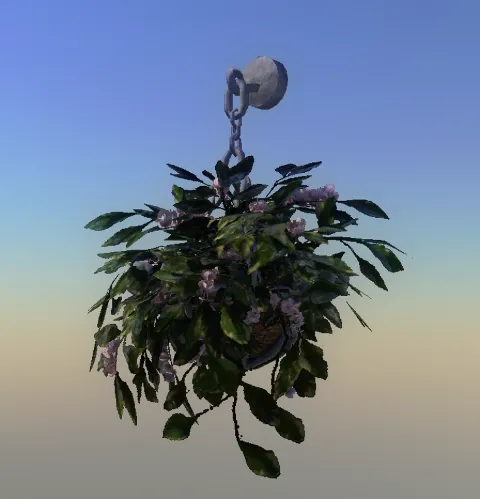 p_plant_philo3