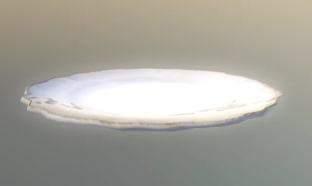 p_plate01x