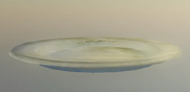 p_plate17x