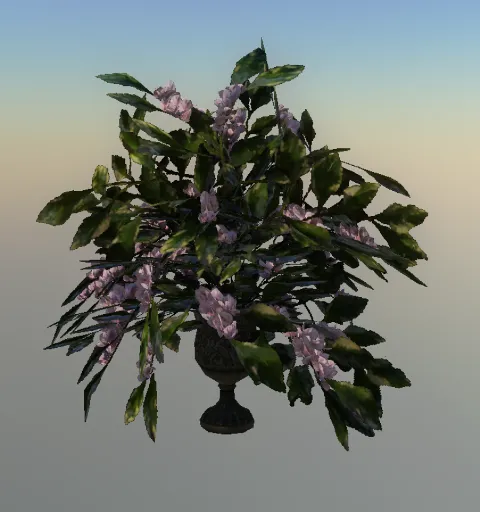 p_pot_flowerarng03x