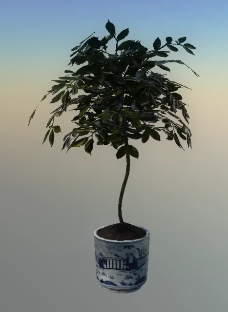 p_pot_flowerarng07x