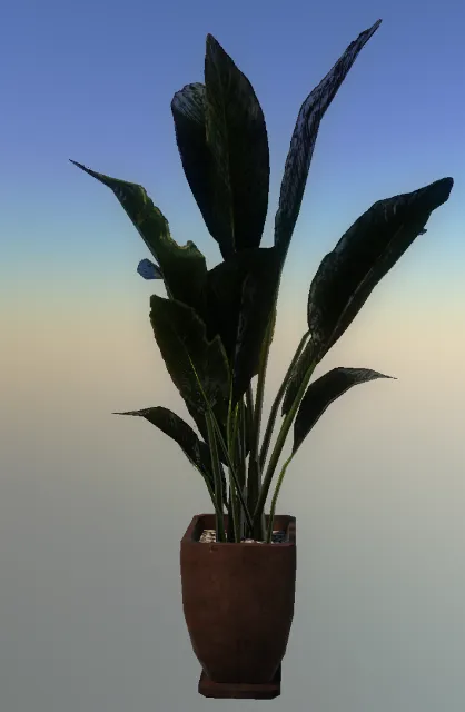 p_pot_plant_05a