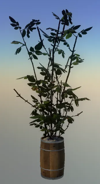 p_pot_plant_05b