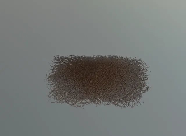p_rabbittufts01x
