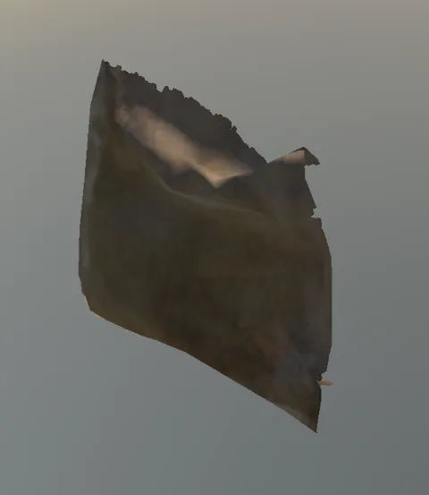 p_rag03x