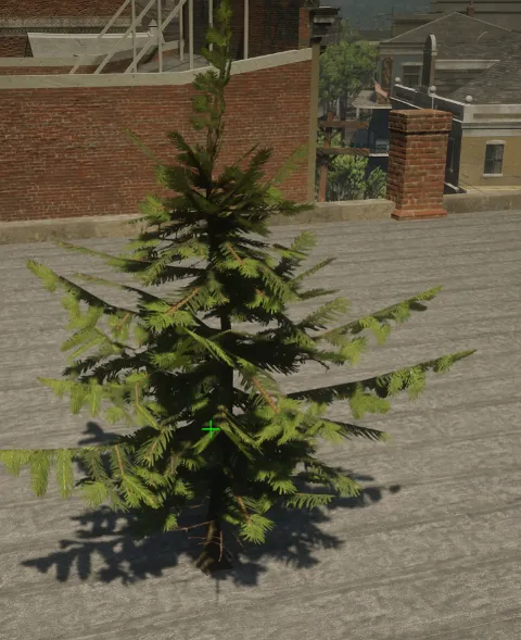 p_sap_fir_aa_sim