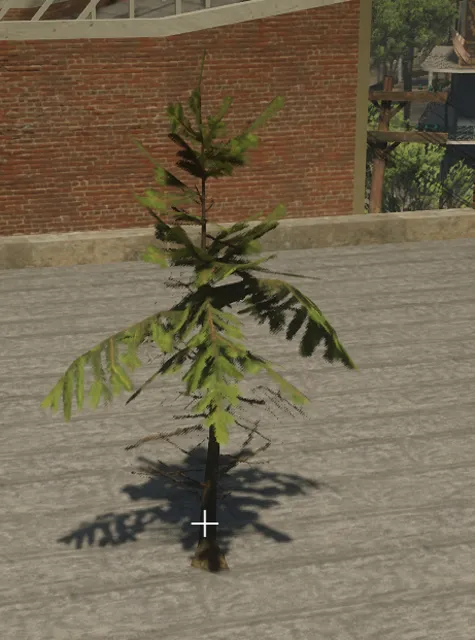 p_sap_fir_ab_sim