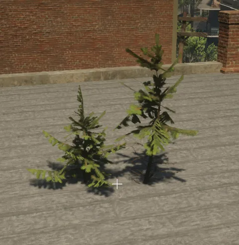 p_sap_fir_ac_sim