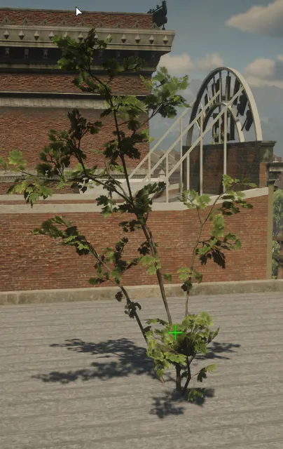 p_sap_maple_aa_sim