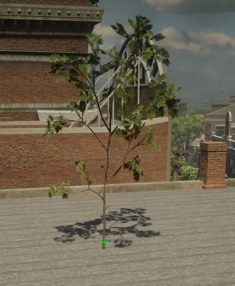 p_sap_maple_ac_sim