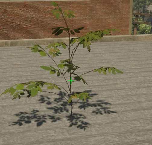 p_sap_maple_ba_sim
