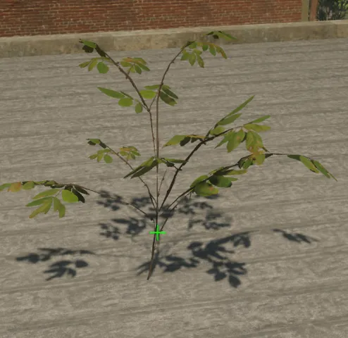 p_sap_maple_bb_sim