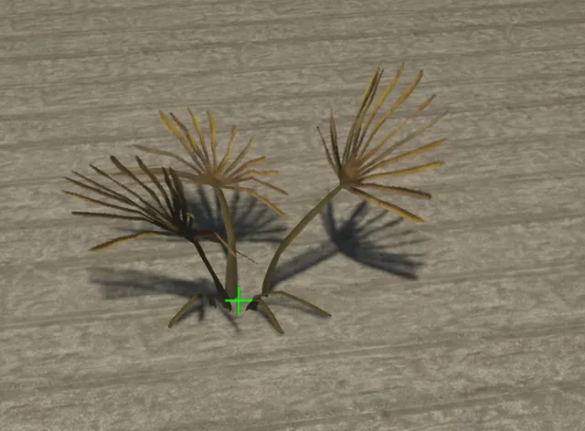 p_sap_palmetto_ab_sim