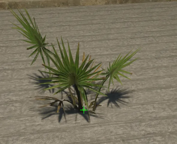 p_sap_palmetto_ac_sim