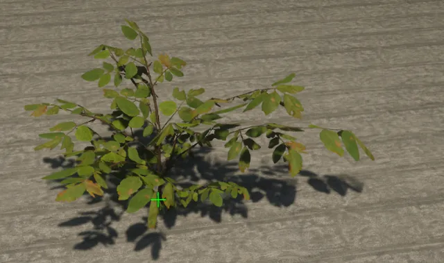 p_sap_poplar_ac_sim