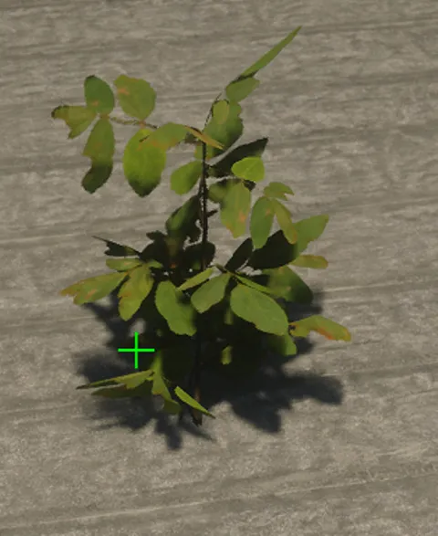 p_sap_poplar_ad_sim