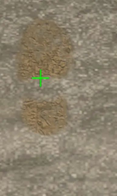 p_sha_l_footprint02x