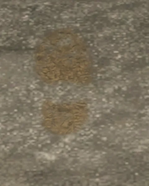 p_sha_r_footprint02x