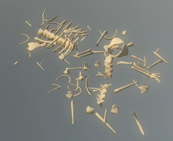 p_skelremalligator02x