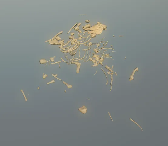 p_skelremequine03x