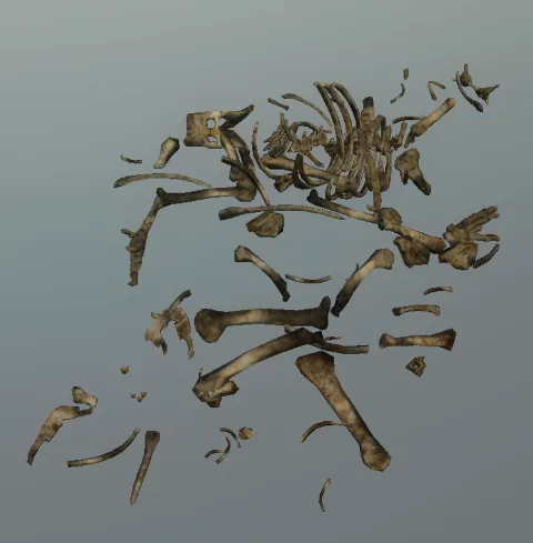 p_skelremskunk02x