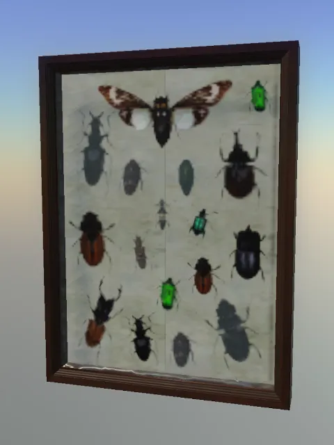 p_specimenbox01x
