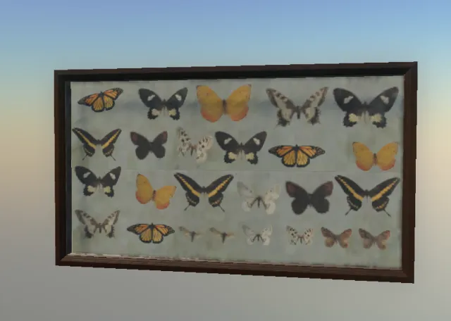 p_specimenbox02x