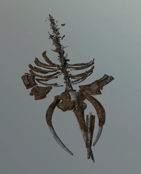 p_static_whalebone01x