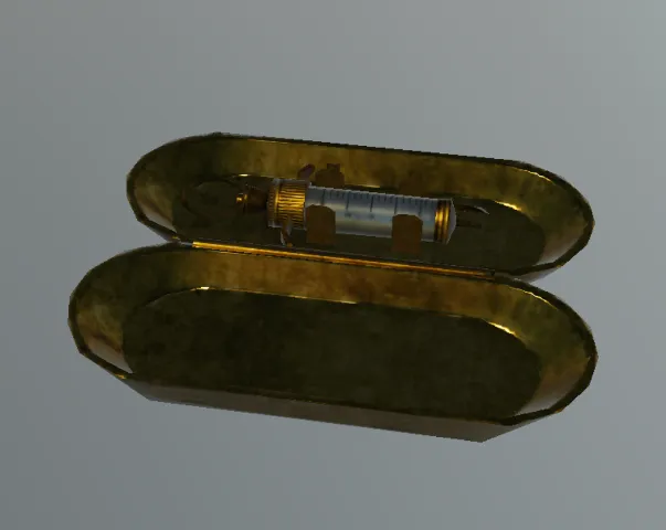 p_syringecase01x
