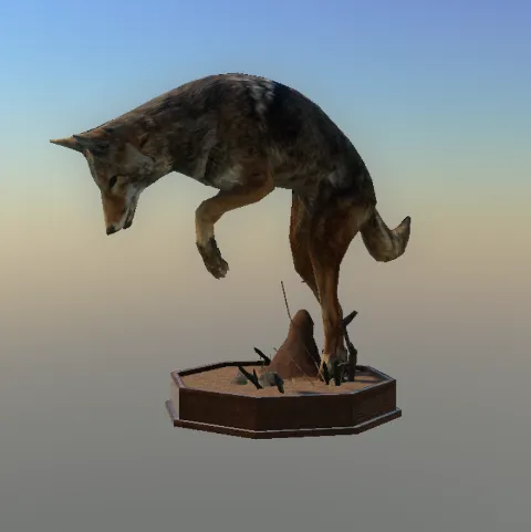 p_taxidermycoyote01x