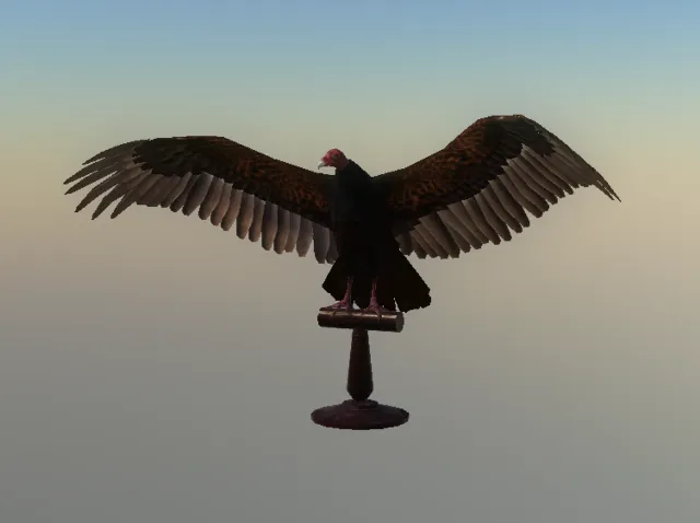 p_taxidermyvulture01x