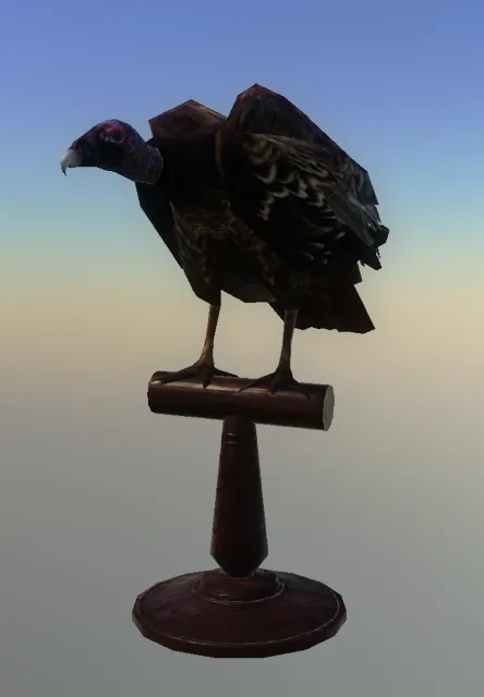 p_taxidermyvulture02x