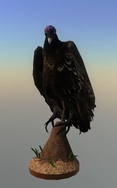 p_taxidermyvulture03x