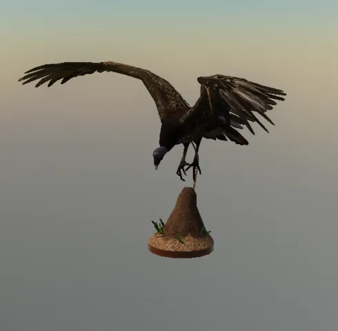 p_taxidermyvulture04x