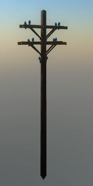 p_telepole01x