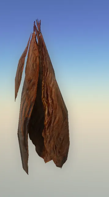 p_tobaccoleavesdried01x