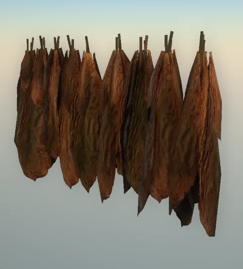 p_tobaccoleavesdried02x